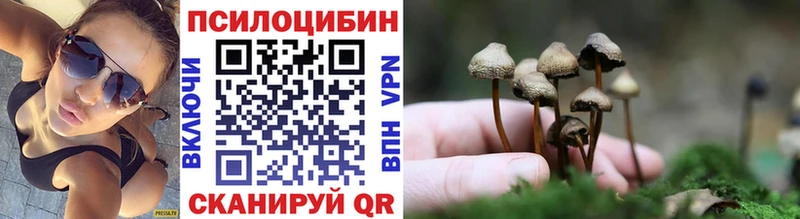 как найти закладки  Ленск  Галлюциногенные грибы Magic Shrooms 
